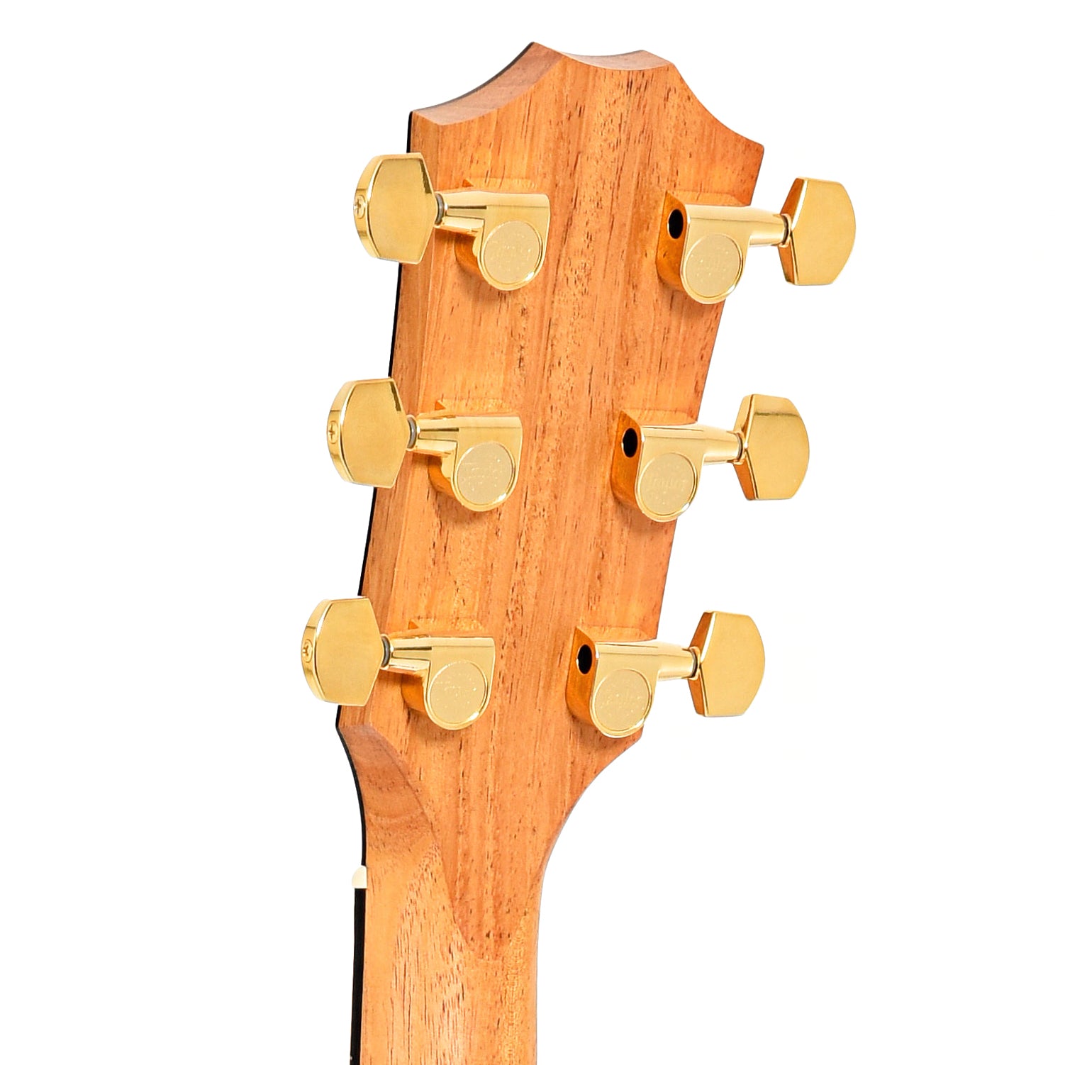 Image 8 of Taylor 214ce Sunburst Deluxe & Case, Left Handed- SKU# 214CESBDLXLH : Product Type Flat-top Guitars : Elderly Instruments