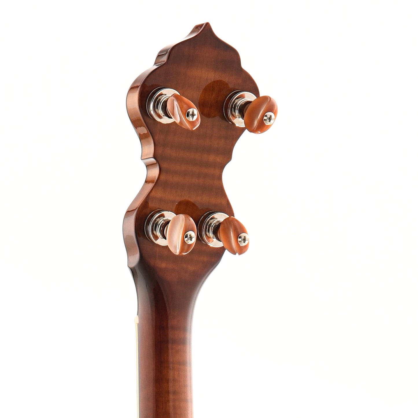 Image 7 of Ome Sweetgrass Openback Banjo & Case - Curly Maple - SKU# SWEETGRS-OBMPL : Product Type Open Back Banjos : Elderly Instruments