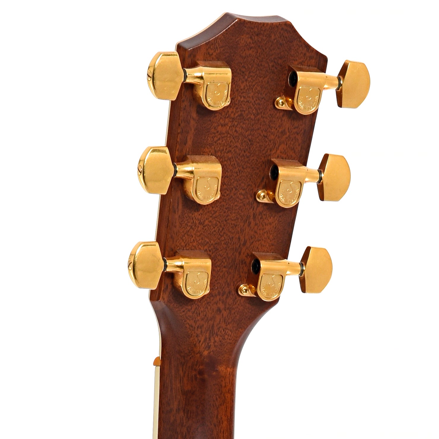 Back headstock of Taylor 812 Acoustic