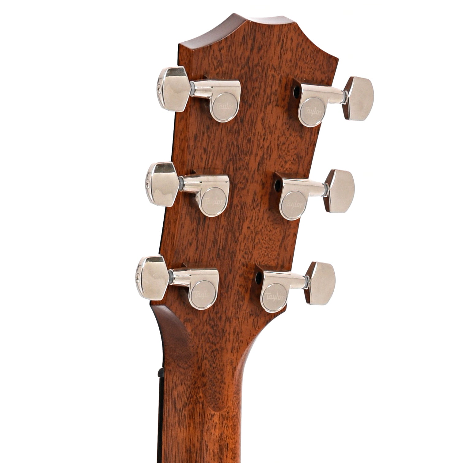 Back headstock of Taylor 814ce LH