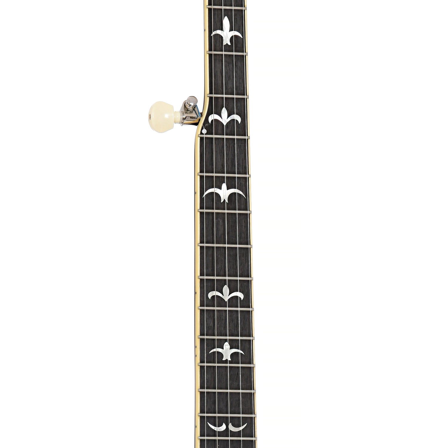 Fretboard of Recording King Madison Deluxe Resonator Banjo, Maple