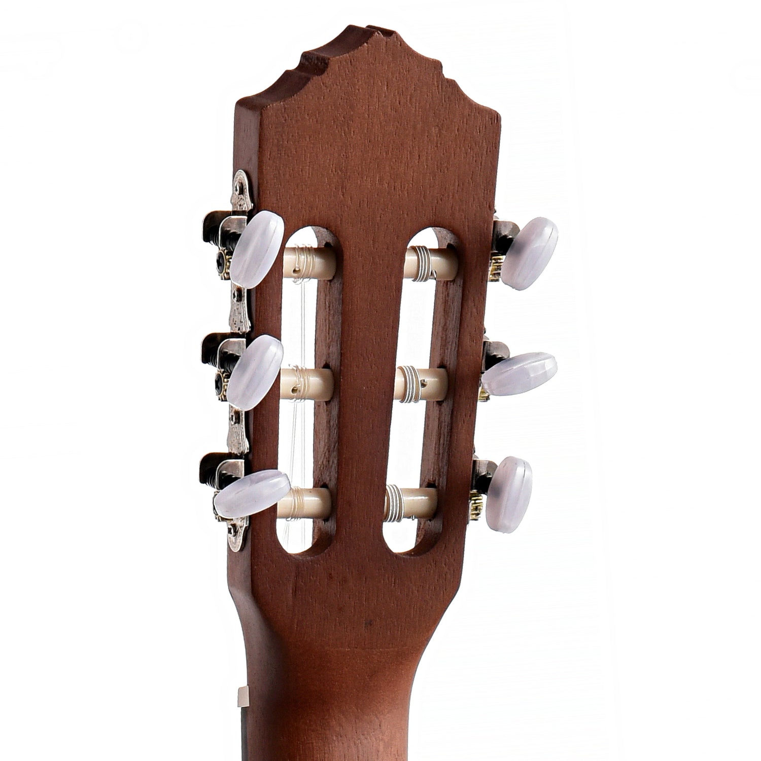 Image 7 of Ortega Family Series Pro R55 Classical Guitar - SKU# R55 : Product Type Classical & Flamenco Guitars : Elderly Instruments