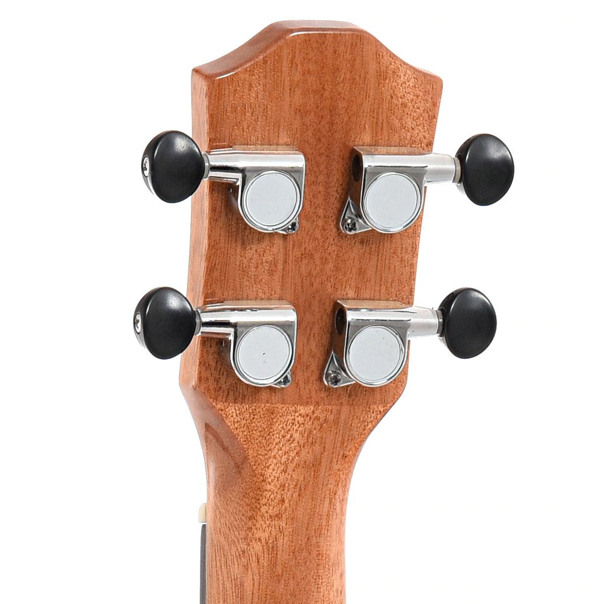 Back headstock of Teton Guitars Model TS160ZWG Soprano 