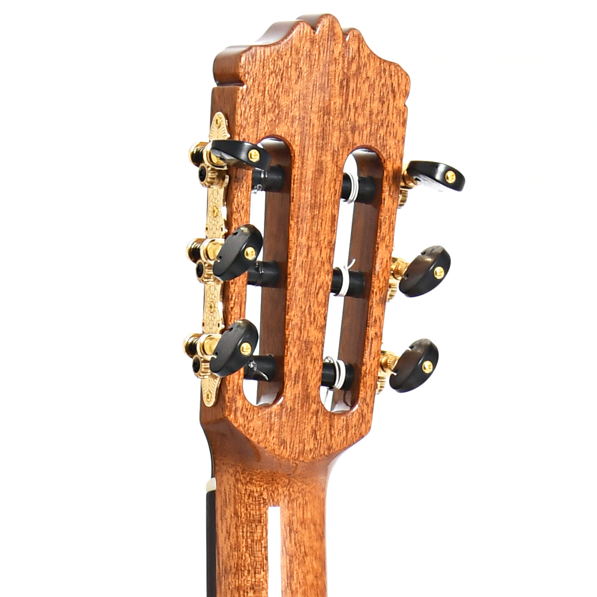Image 9 of Cordoba C9 Parlor Classical Guitar and Case - SKU# CORC9D : Product Type Classical & Flamenco Guitars : Elderly Instruments