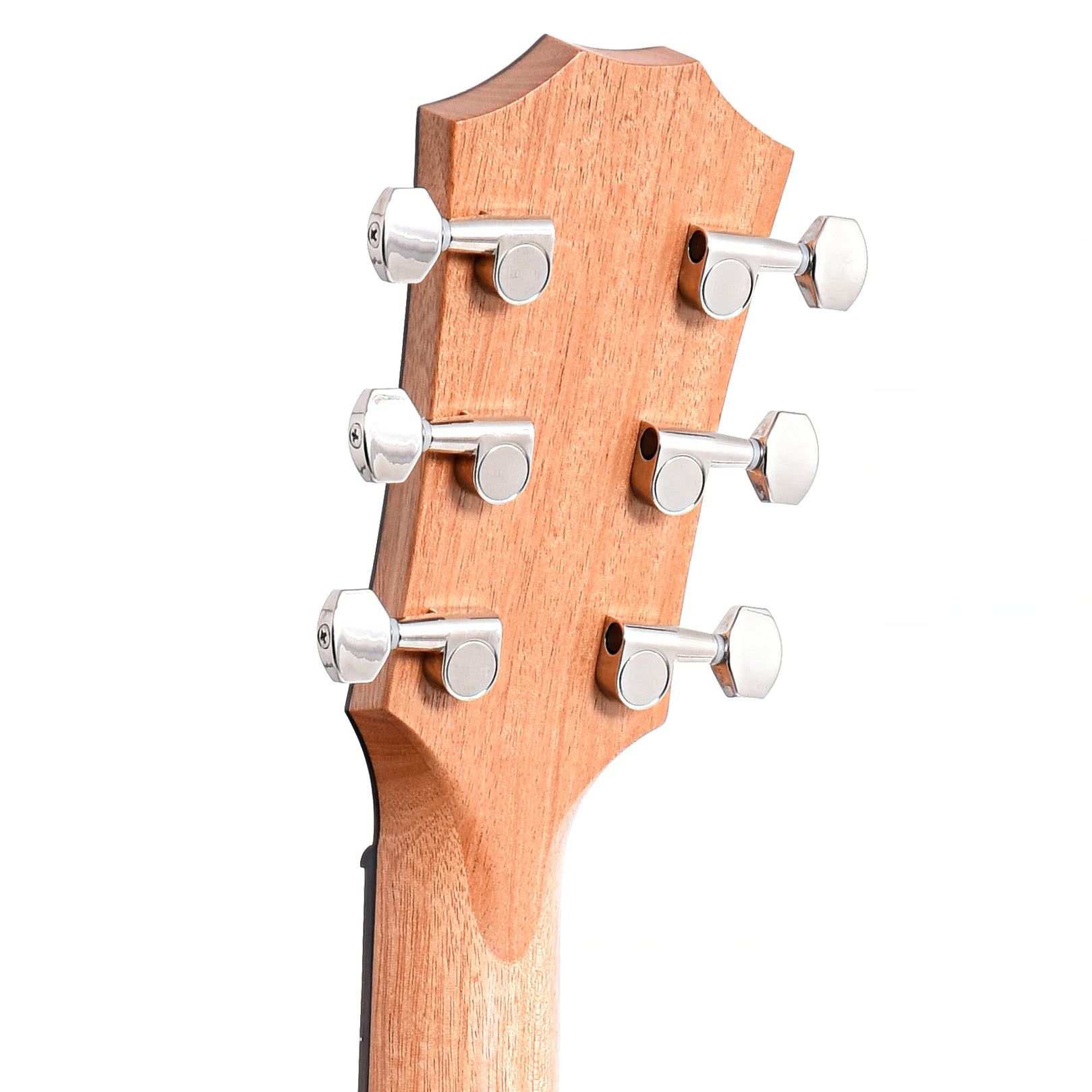 Back Headstock of Taylor GT Urban Ash Acoustic Guitar 