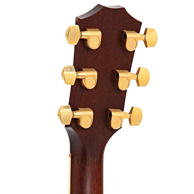 Back headstock of Taylor GS