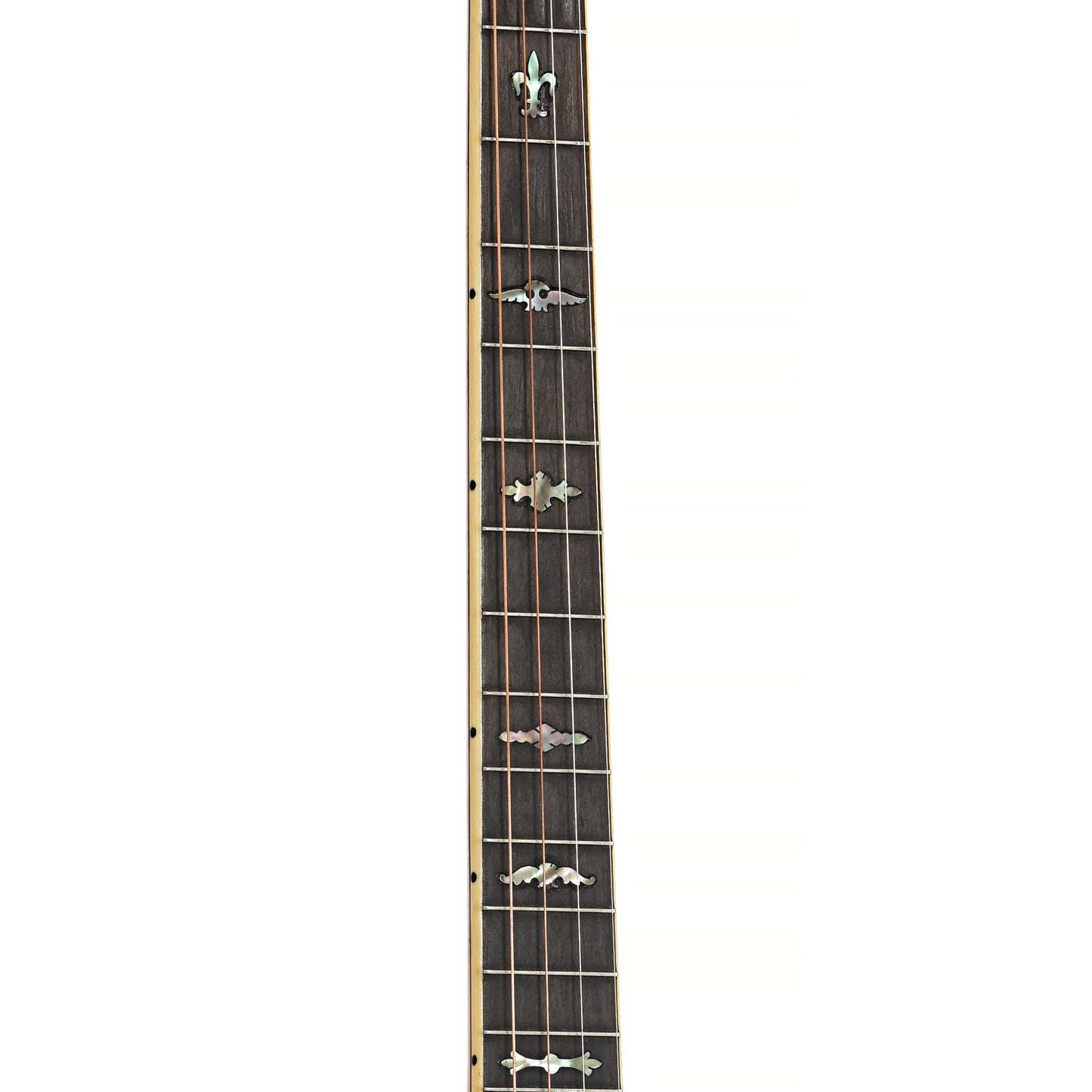 Fretboard of Washburn Style 5179 Classic Tenor Banjo 