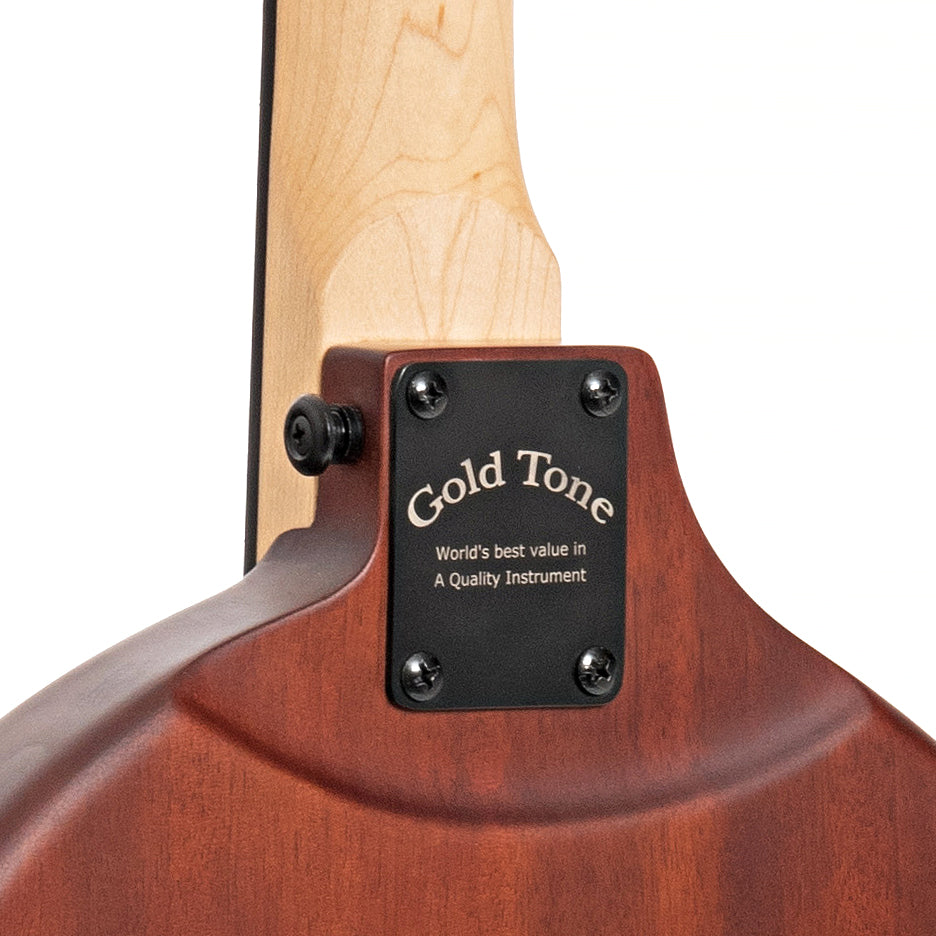 Image 9 of Gold Tone EB-6 6-String Electric Banjo & Gigbag - SKU# GTEB6 : Product Type 6-string Banjos : Elderly Instruments