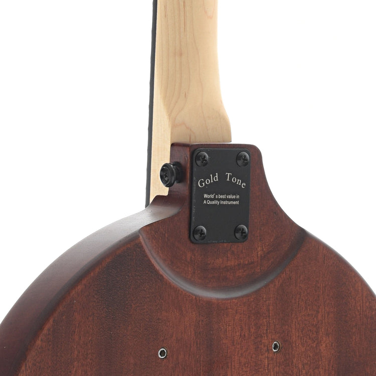 Image 8 of Gold Tone EB-5 5-String Electric Banjo & Gigbag - SKU# GTEB5 : Product Type Other Banjos : Elderly Instruments