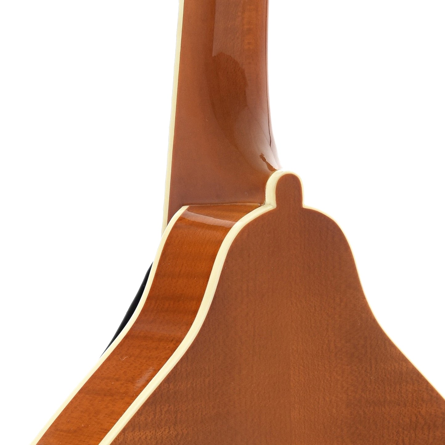 Neck Joint of Kentucky KM-252 Mandolin, A-Model Transparent Amber