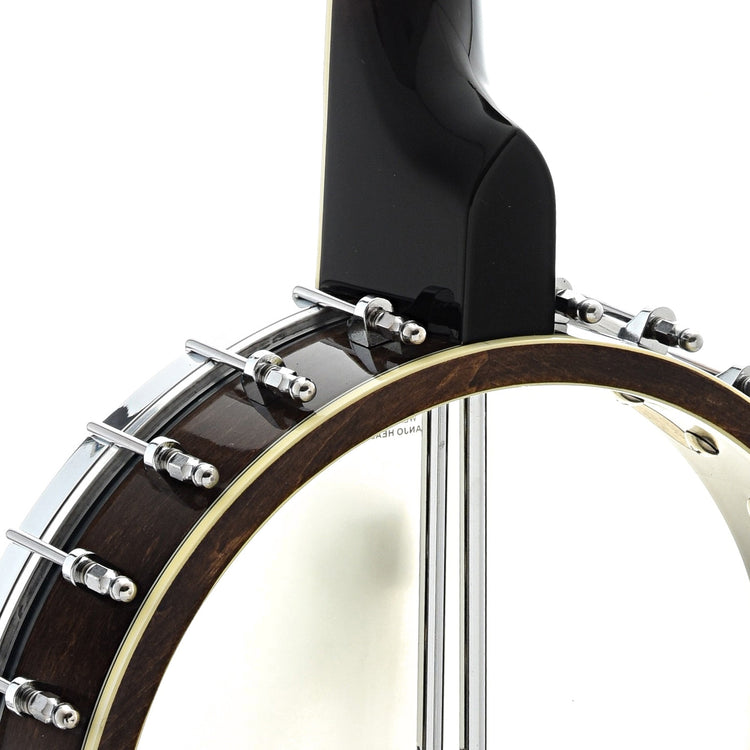 Heel of Gold Tone WL-250 White Laydie Openback Banjo