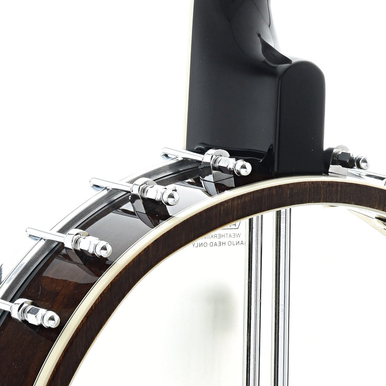 Image 8 of Gold Tone It-250 Openback Irish Tenor Banjo - SKU# GTIT250 : Product Type Tenor & Plectrum Banjos : Elderly Instruments