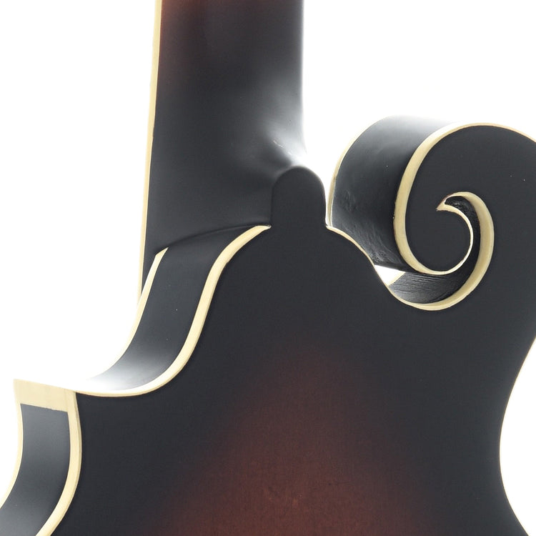 Heel of Gold Tone F-12 12-String Manditar 
