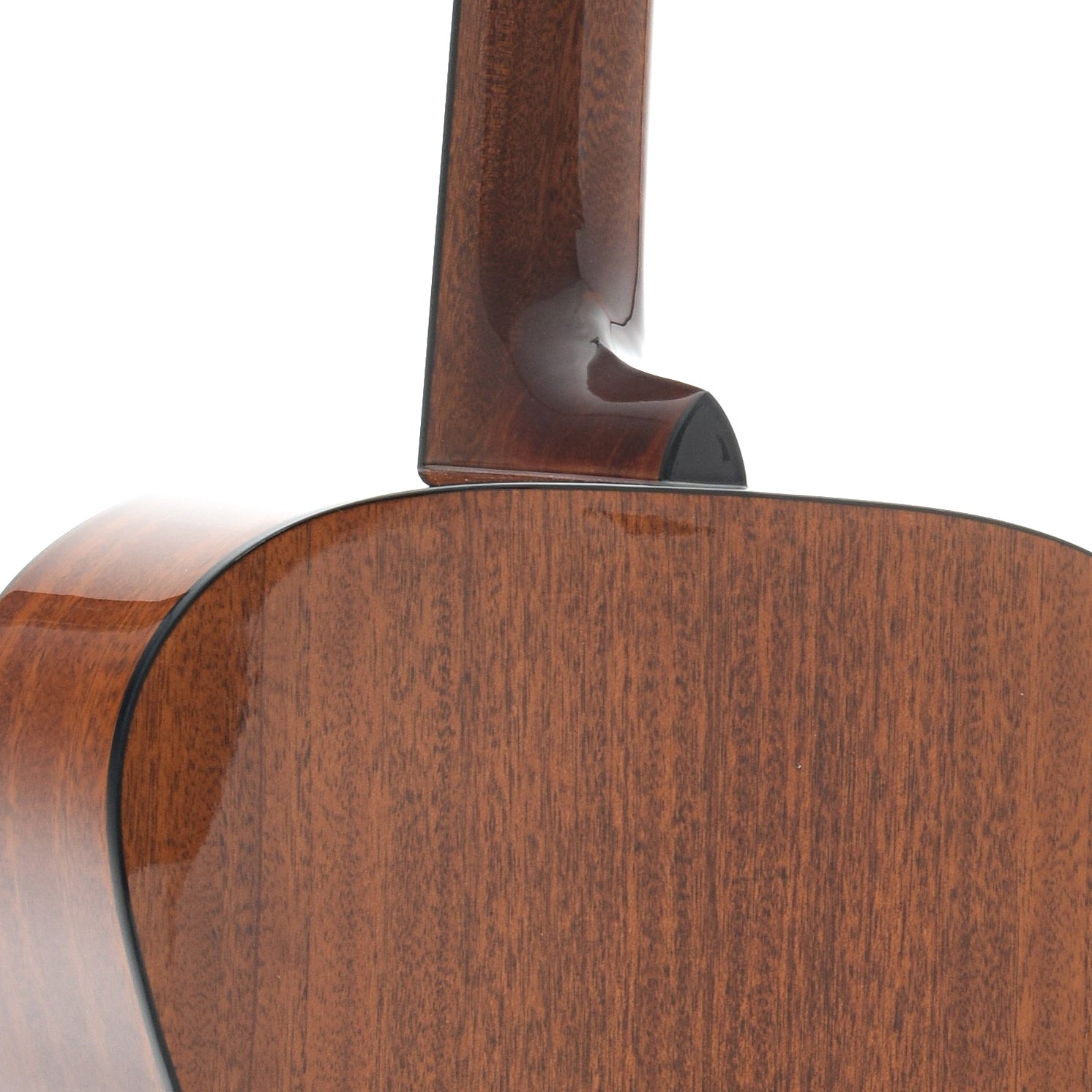 Image 11 of * Elderly Instruments "000" Guitar Outfit - SKU# DEAL2 : Product Type Flat-top Guitars : Elderly Instruments
