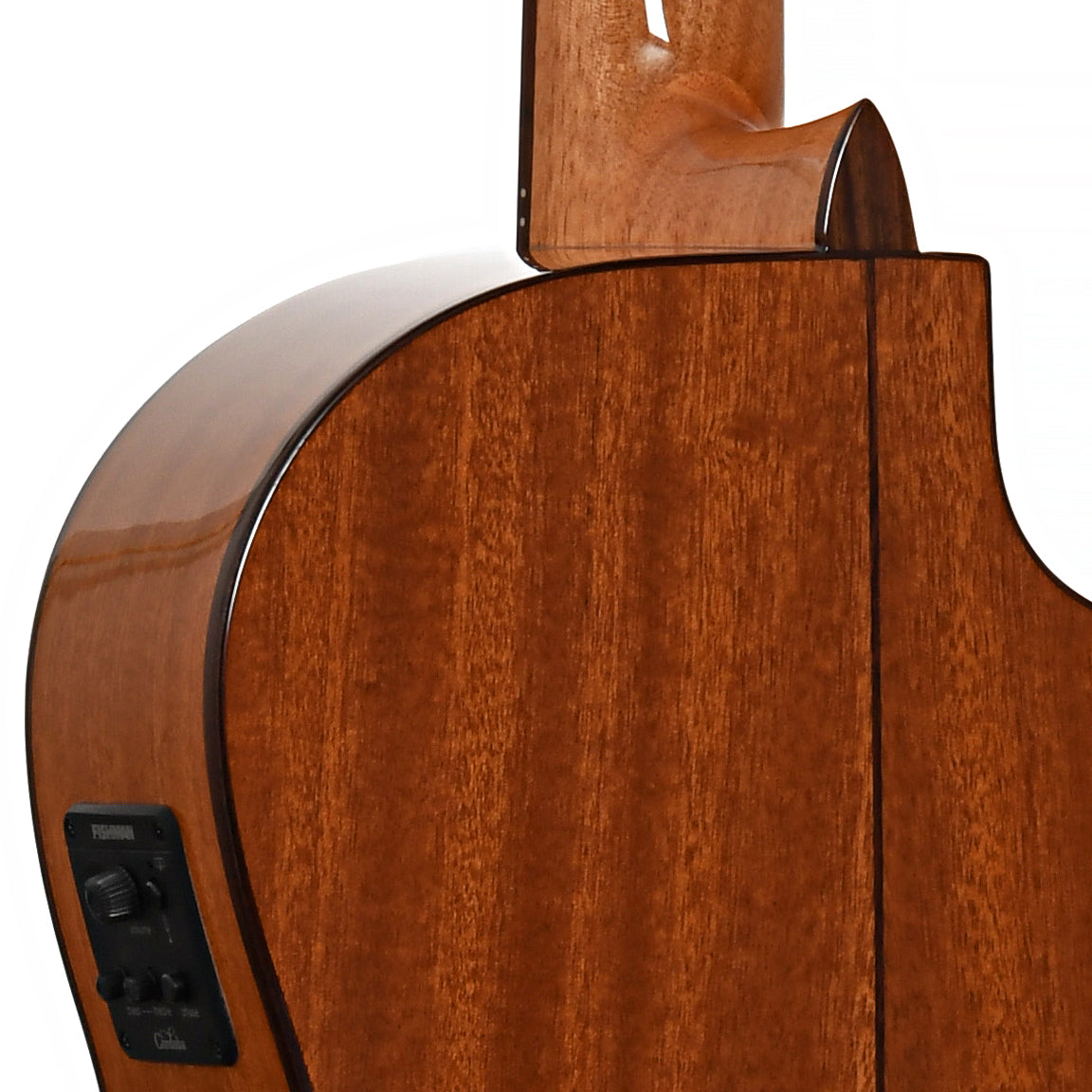 Image 9 of Cordoba C5-CE Lefty Classical Guitar - SKU# CORC5CEL : Product Type Classical & Flamenco Guitars : Elderly Instruments
