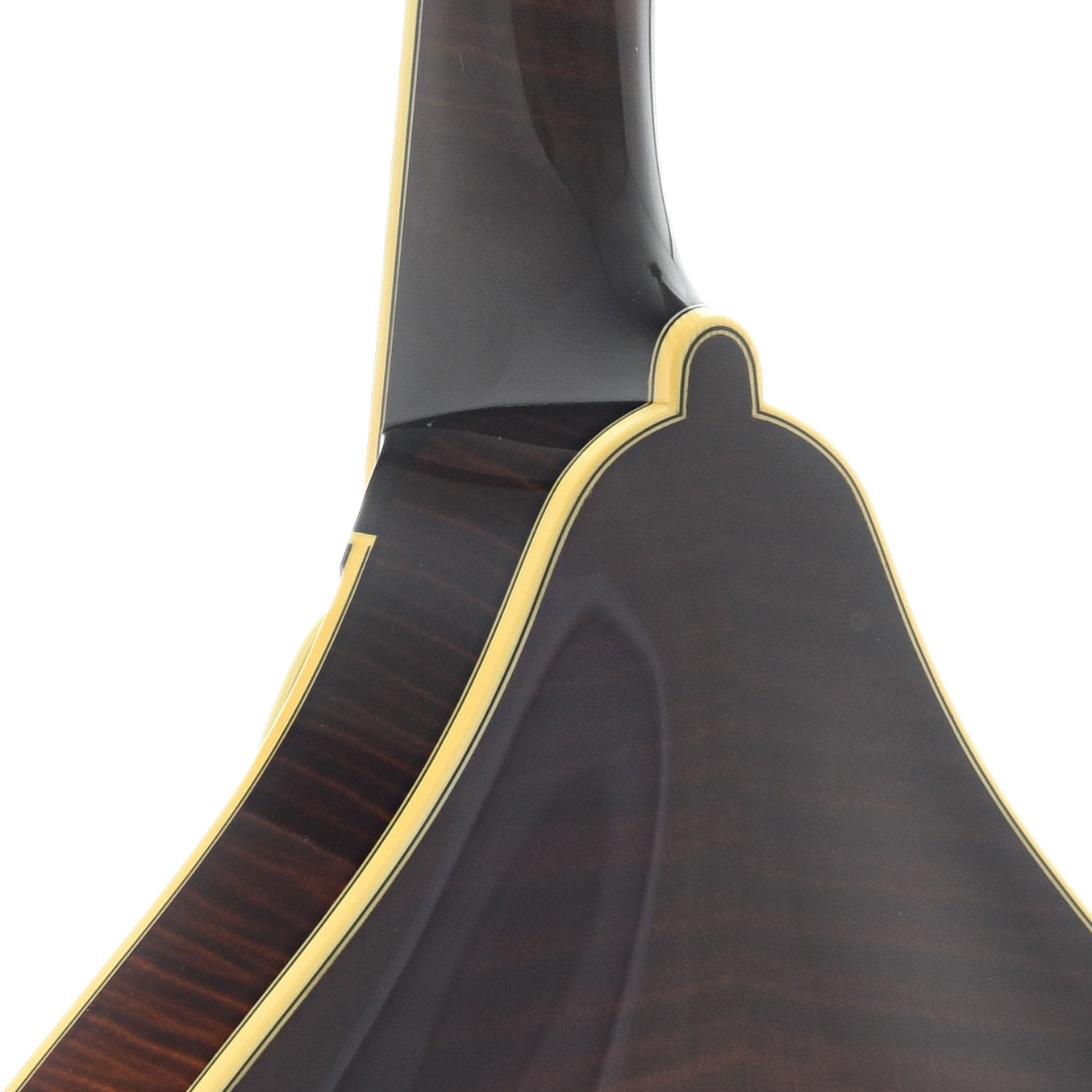 Image 8 of Collings MT2 Deluxe A-Model Mandolin & Case, Varnish Finish - SKU# CAM2V : Product Type Mandolins : Elderly Instruments