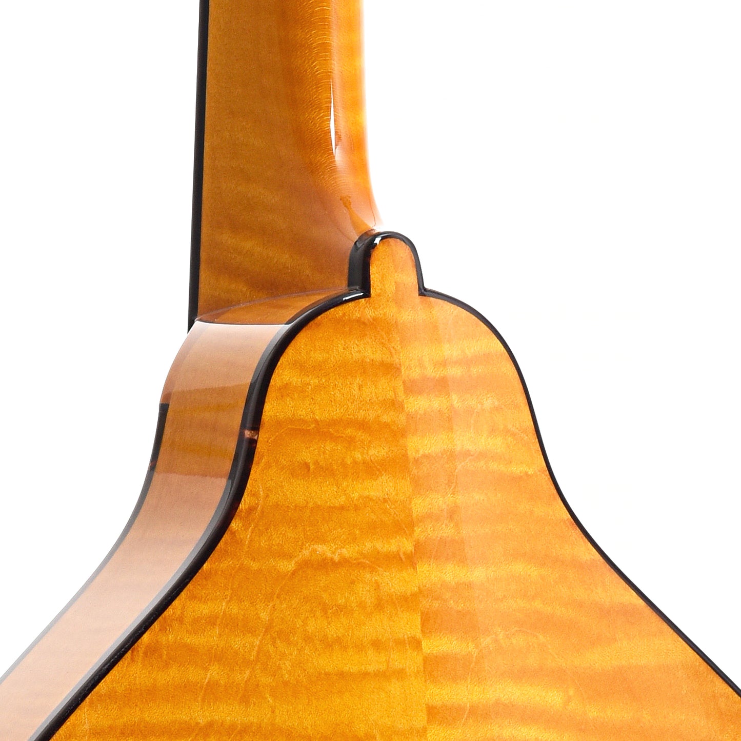 Image 11 of Pava Player Model A-Mandolin & Case, Amber - SKU# PPL-AMBER : Product Type Mandolins : Elderly Instruments