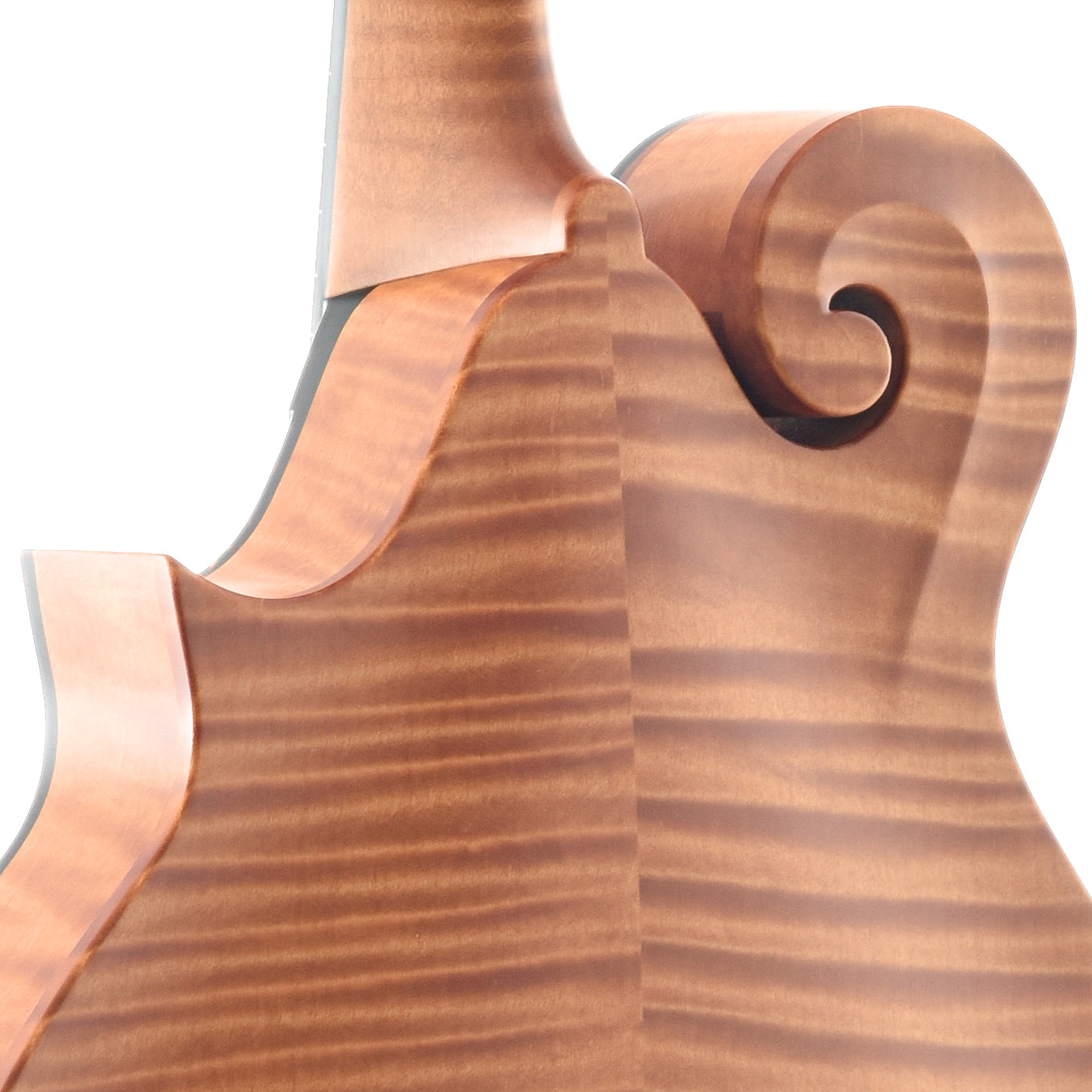 Image 9 of Collings MF F-Model & Case, Honey Amber Finish, Glossy Top - SKU# MF-TAG : Product Type Mandolins : Elderly Instruments