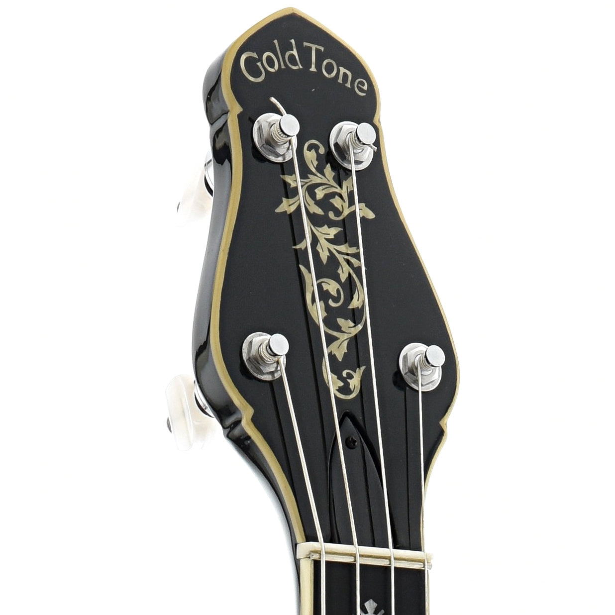 Front Headstock of Gold Tone CEB-5 5-String Cello Banjo 