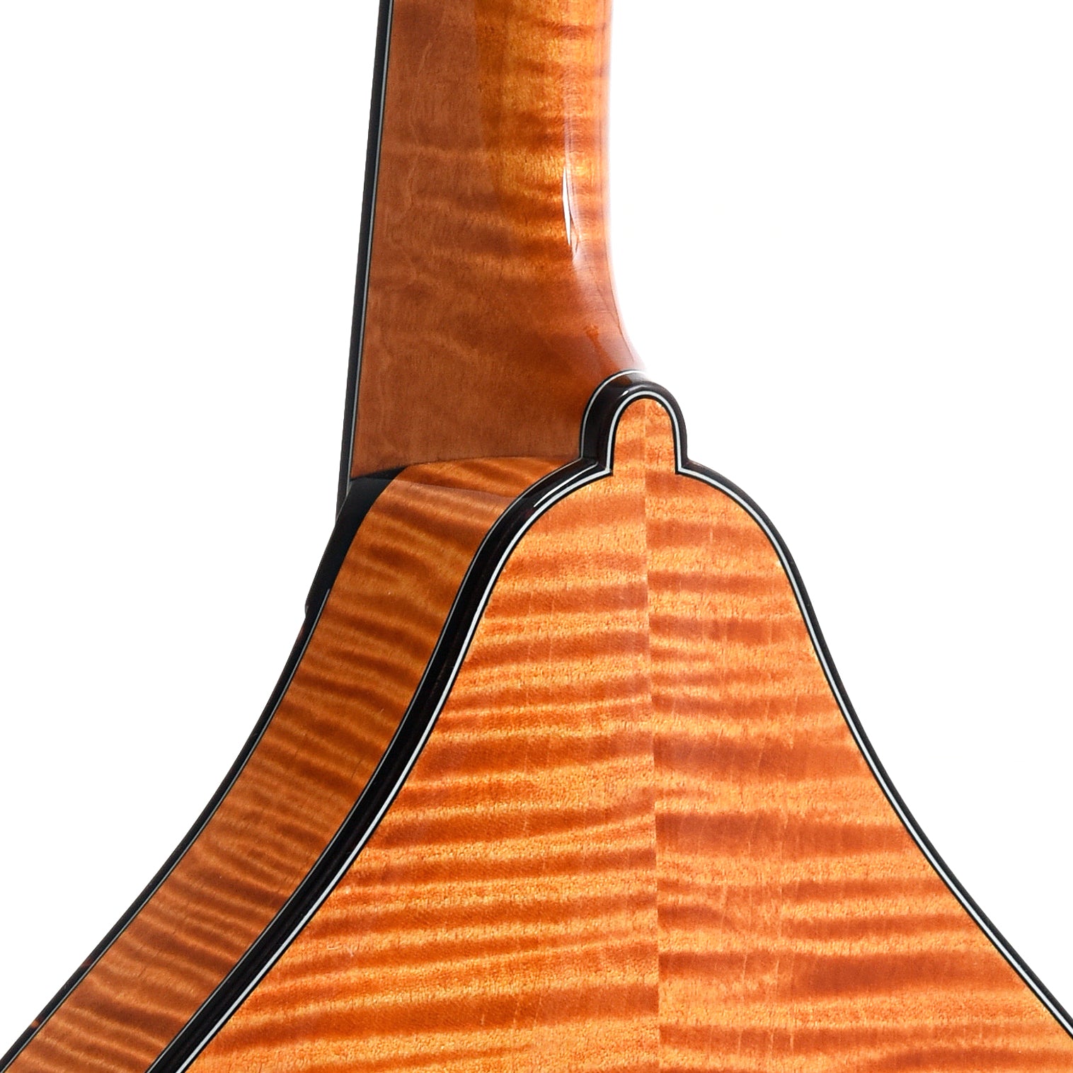 Image 9 of Collings MT2 A-Model Mandolin & Case, Honey Amber - SKU# CAM2-HA : Product Type Mandolins : Elderly Instruments