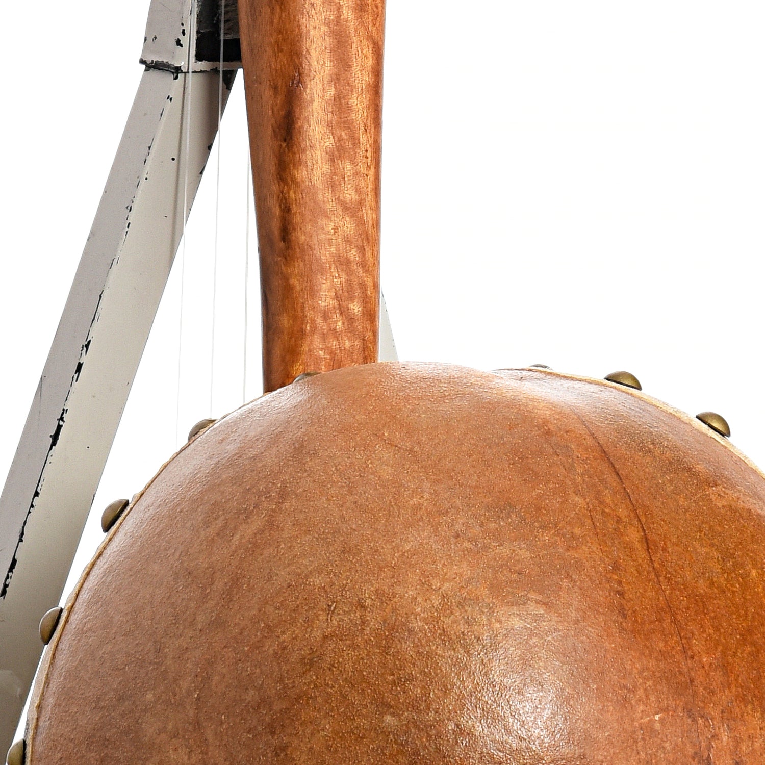 Image 10 of Menzies Fretless Gourd Banjo #455 - SKU# MGB85-455 : Product Type Other Banjos : Elderly Instruments