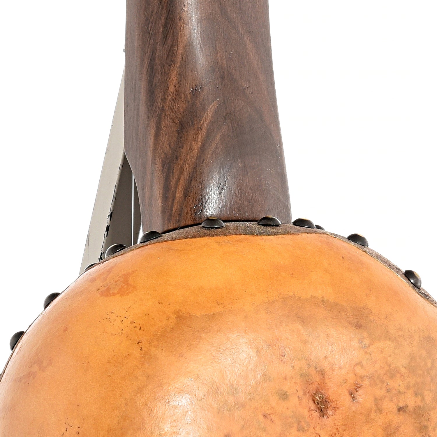 Image 9 of Menzies Fretless Gourd Banjo #479- SKU# MGB85-479 : Product Type Other Banjos : Elderly Instruments
