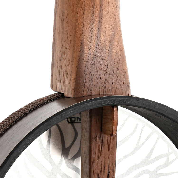 Image 9 of Magic Fluke Company Tree of Life Firefly Concert Banjo Uke, Walnut, with Cinch Sack - SKU# MFBUCTOL : Product Type Banjo Ukuleles : Elderly Instruments