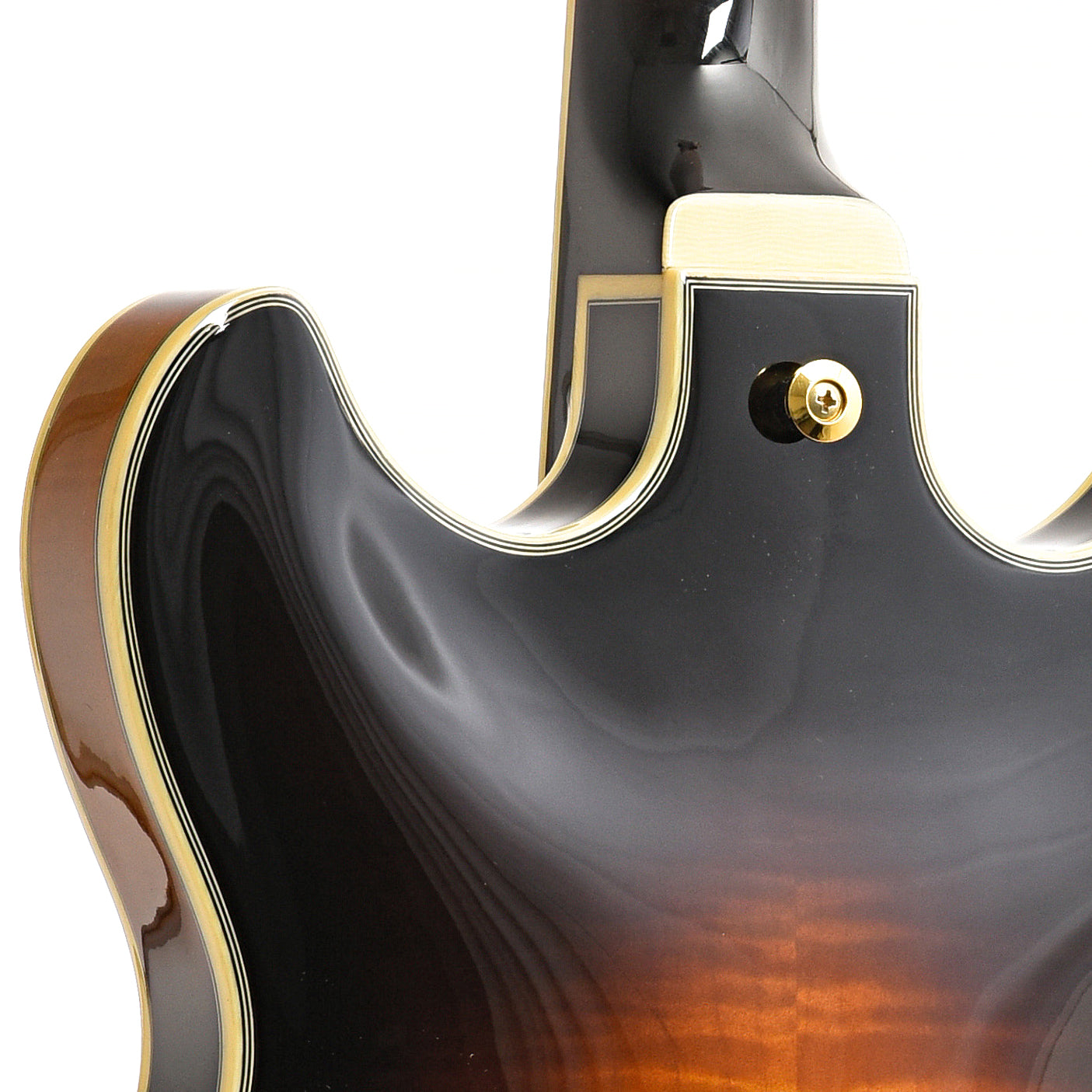 Neck Joint of Ibanez JSM10 Semi-Hollowbody Guitar