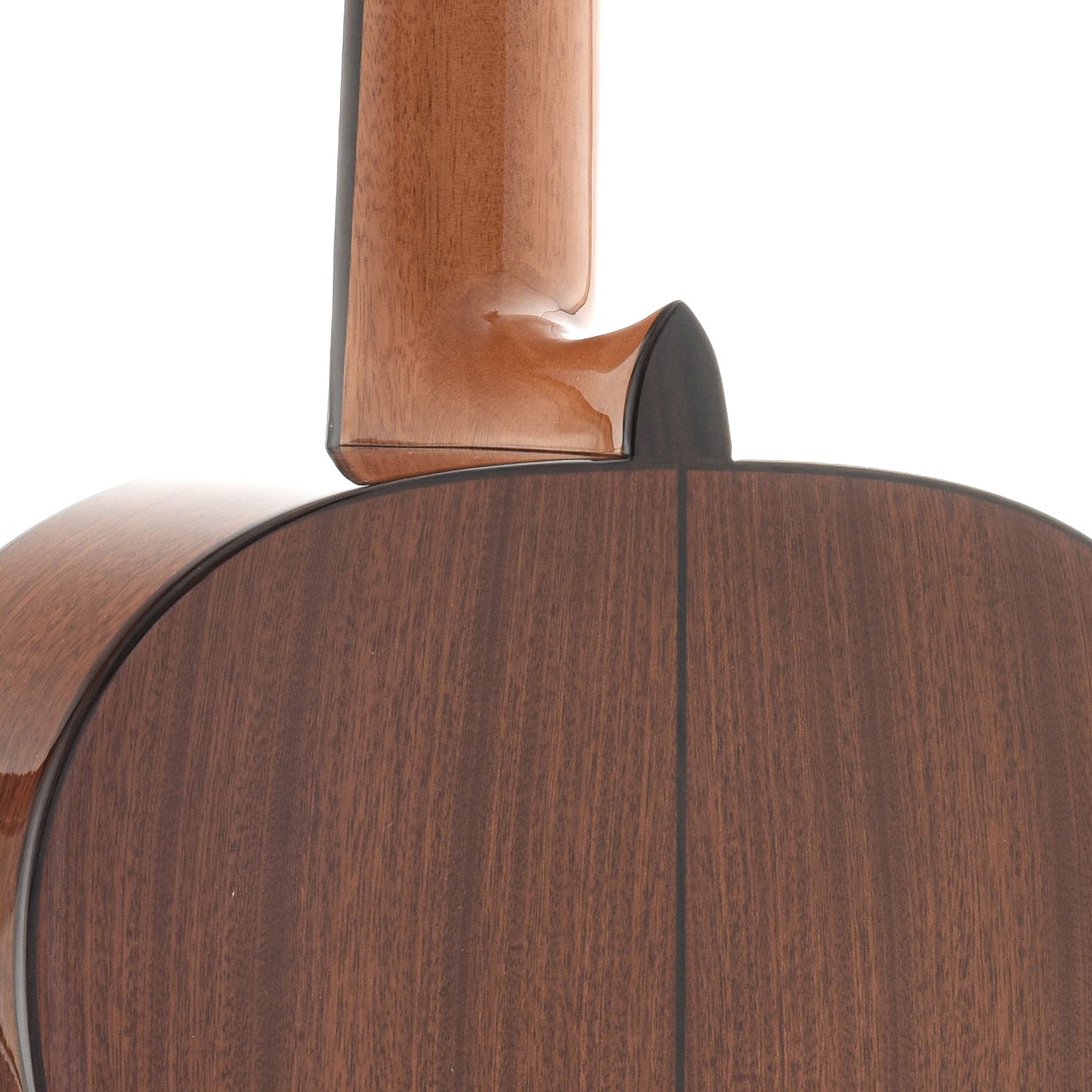 Neck Joint of Cordoba C5 Classical Guitar