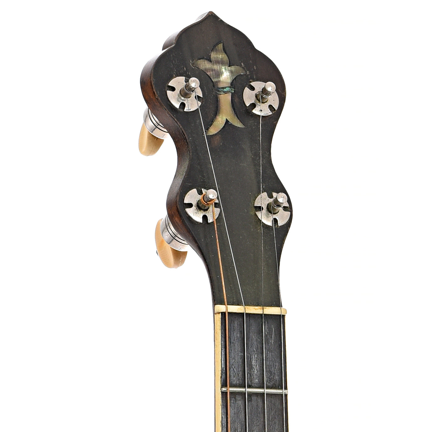 Front headstock of Washburn Style 5177 "Dasant" Tenor Banjo 