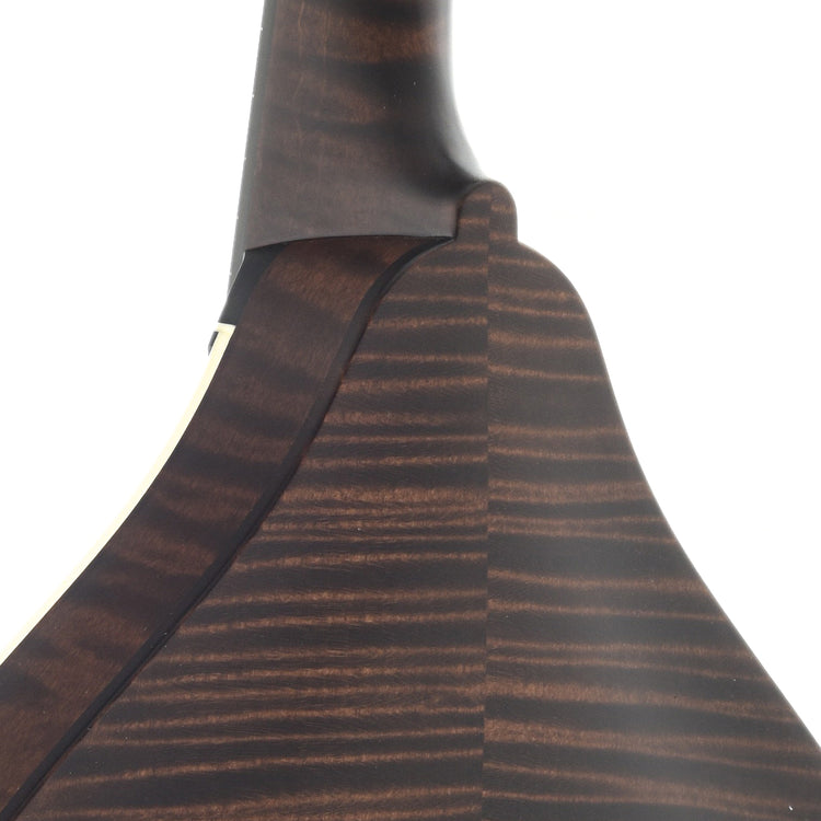 Image 9 of Collings MT O Oval-Hole Sheraton Brown Mandolin & Case, Ivoroid Binding, Satin Finish - SKU# CMTO-BI : Product Type Mandolins : Elderly Instruments
