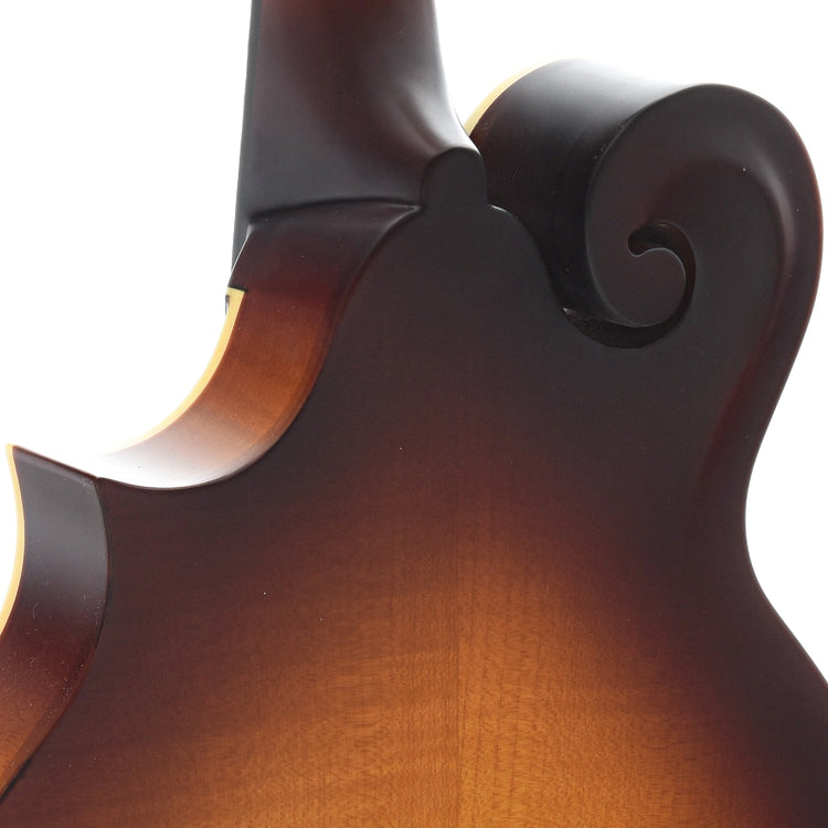 Neck Joint of The Loar LM-590-MS Mandolin