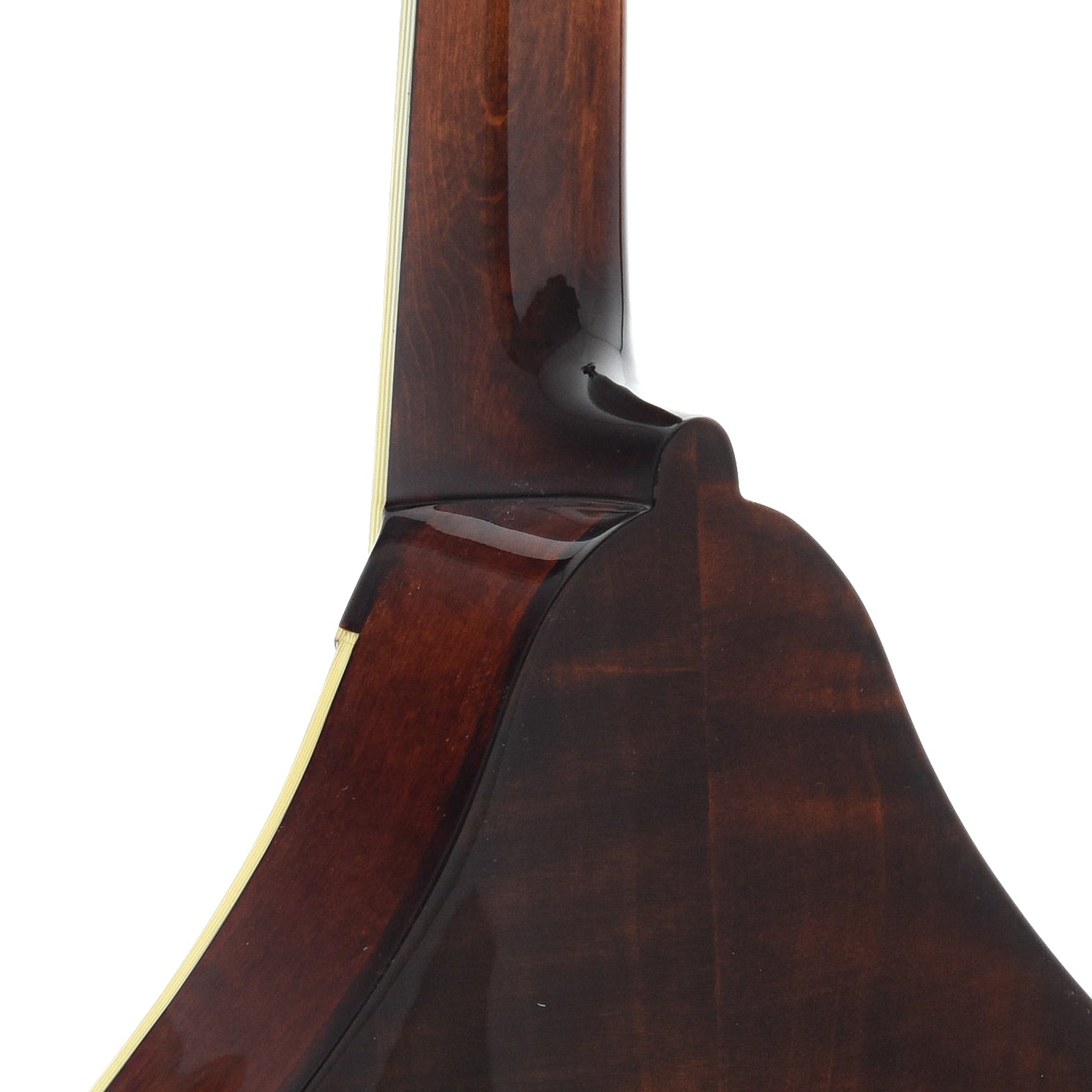 Neck Joint of Eastman MD505 Classic Mandolin 
