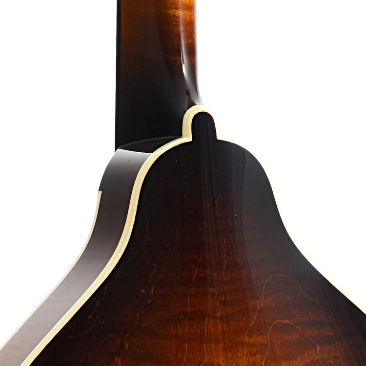 Neck Joint of Pava A5 Player Model A-Mandolin 