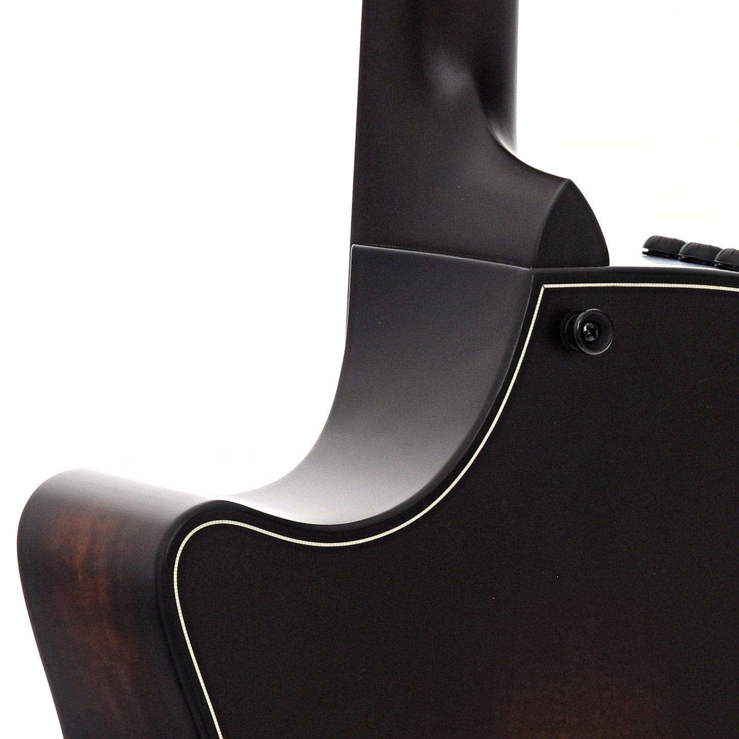 Heel of Taylor Builder's Edition 324ce Acoustic