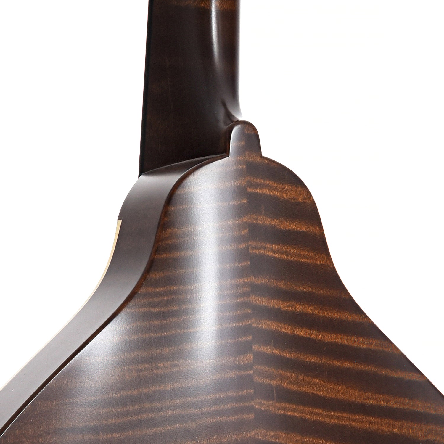 Neck Joint of Pava A5 Satin Model Mandolin, Brown