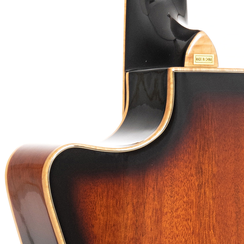 Image 9 of Beard Gold Tone PBR-CA Mahogany Cutaway Resophonic Guitar & Case - SKU# BGT5R : Product Type Resonator & Hawaiian Guitars : Elderly Instruments