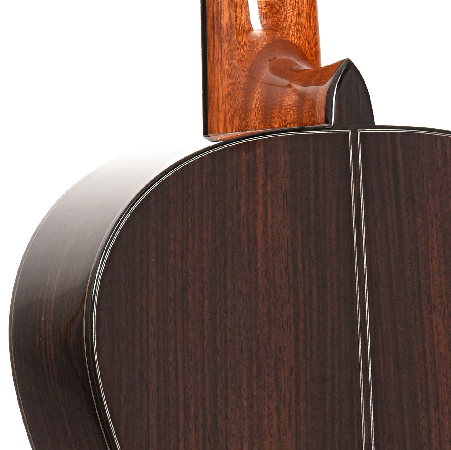 Neck Joint of Cordoba "Friederich" Classical Guitar 
