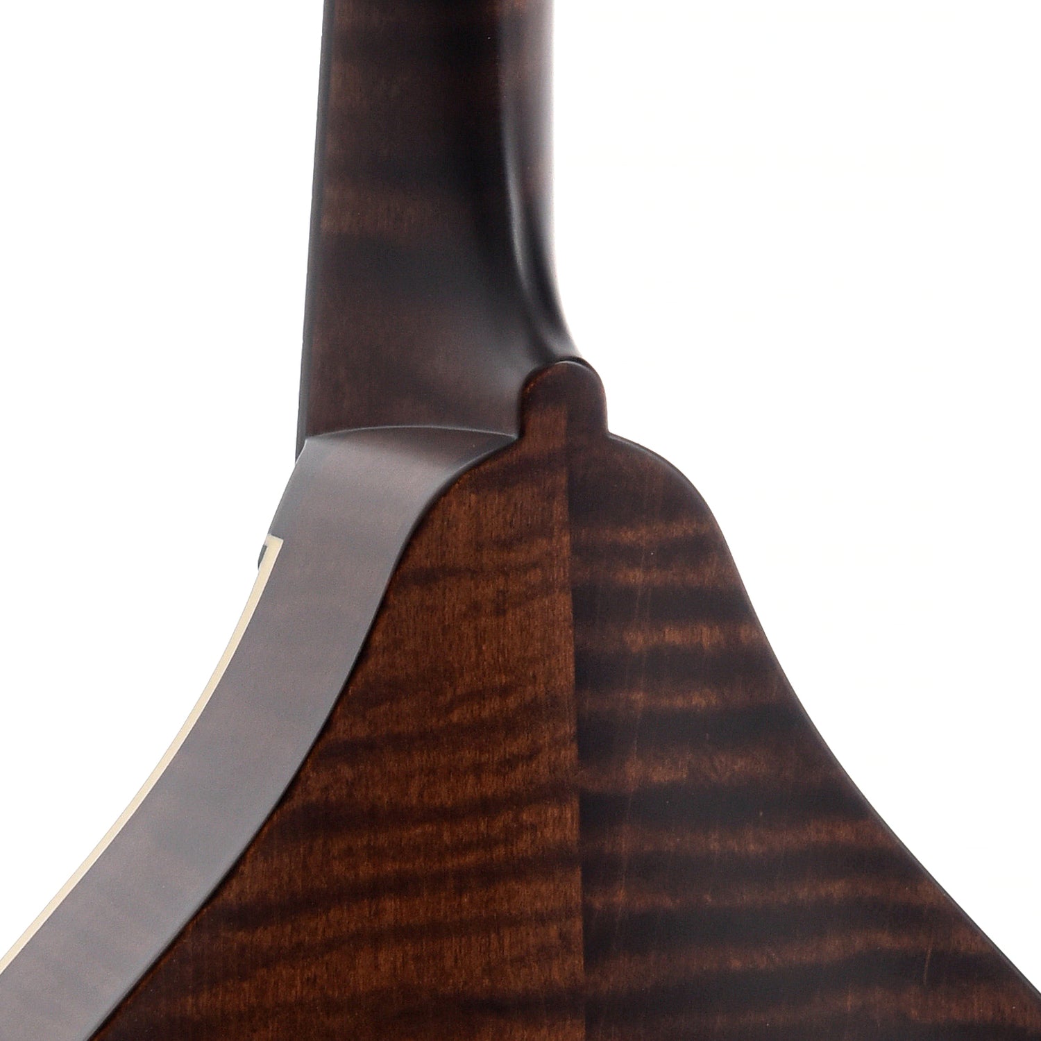 Image 8 of Collings MT A-Model, Sheraton Brown with Ivoroid Binding & Case - SKU# CMTA-BI : Product Type Mandolins : Elderly Instruments