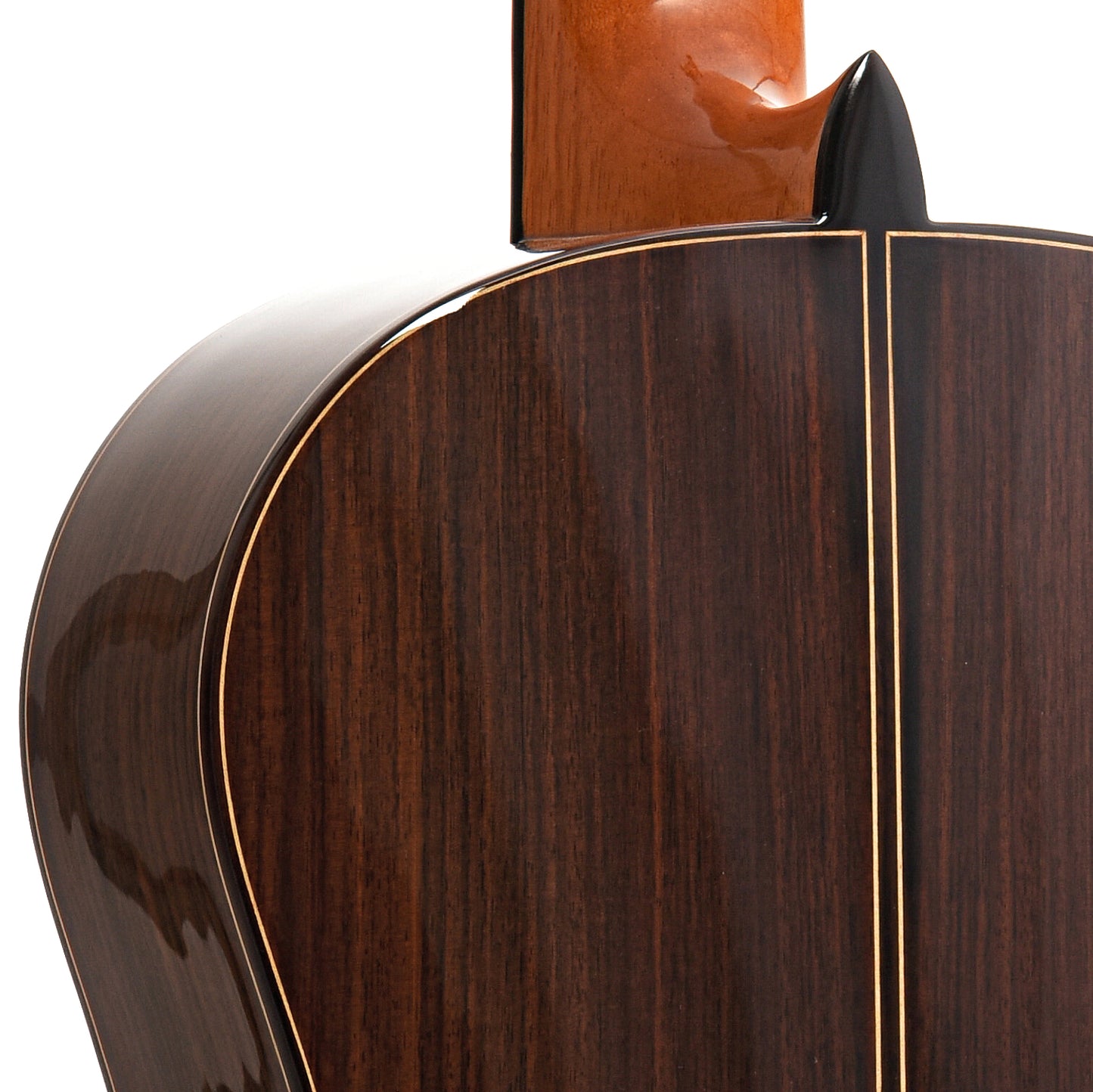Image 10 of Jose Ramirez Guitarra Del Tiempo Classical Guitar and Case, Cedar Top Model - SKU# RAMDELTC : Product Type Classical & Flamenco Guitars : Elderly Instruments