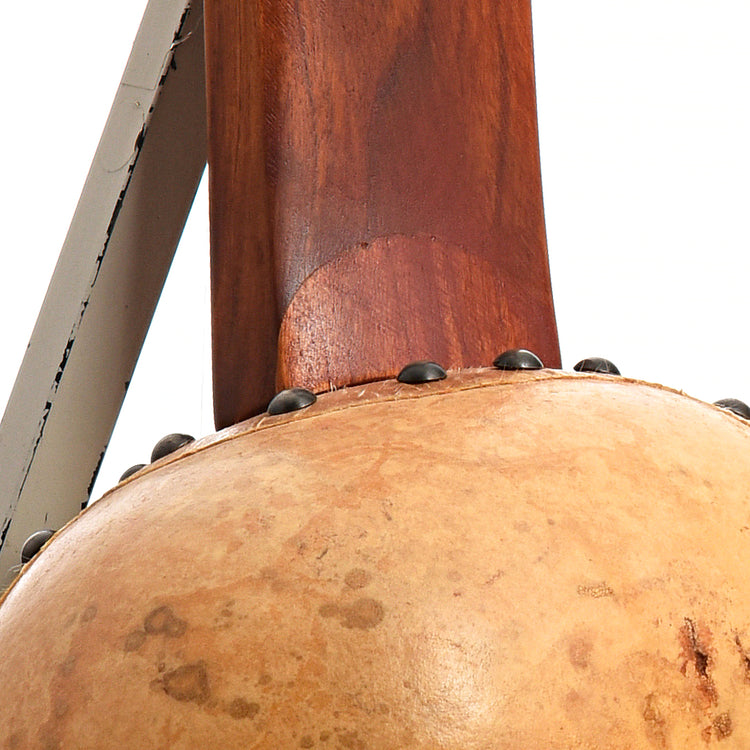 Image 9 of Menzies Fretless Gourd Banjo #460 - SKU# MGB85-460 : Product Type Other Banjos : Elderly Instruments