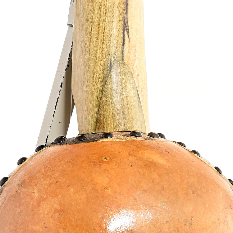 Image 9 of Menzies Fretless Gourd Banjo #476- SKU# MGB85-476 : Product Type Other Banjos : Elderly Instruments