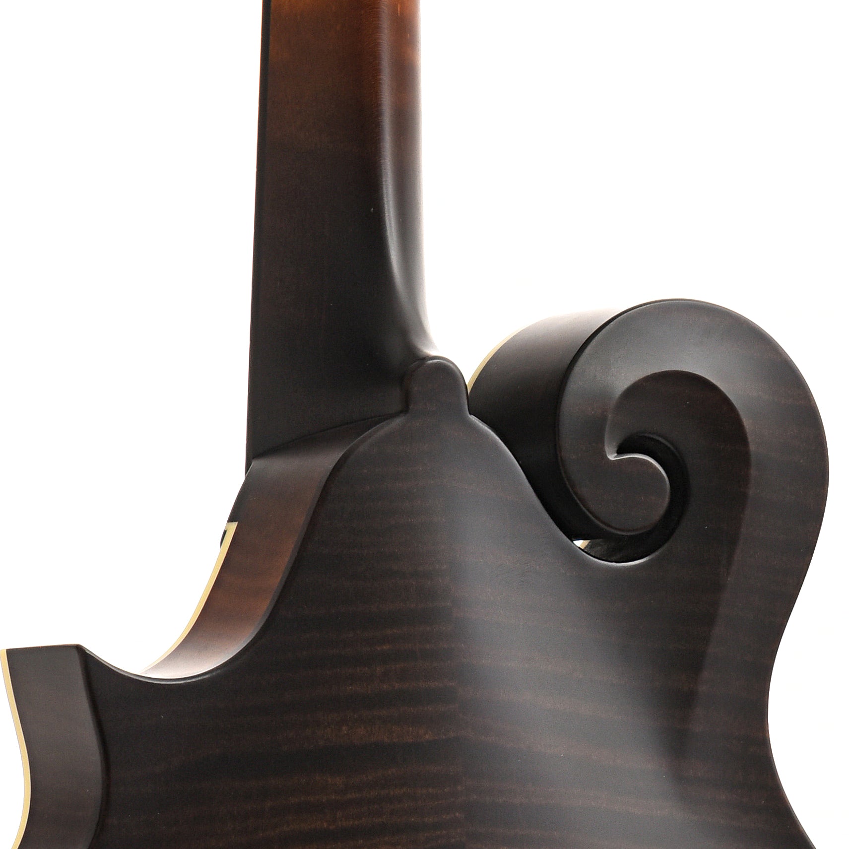 Image 9 of Collings MF F-Model Mandolin & Case with Ivoroid Binding, Glossy Top - SKU# MF-IG : Product Type Mandolins : Elderly Instruments