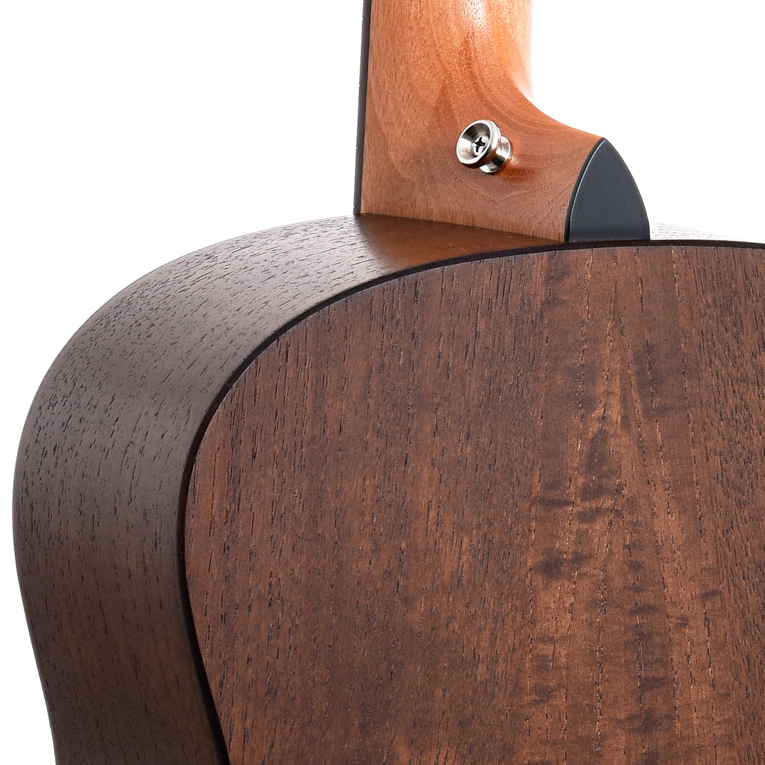 Neck Joint of Taylor GT Urban Ash Acoustic Guitar 
