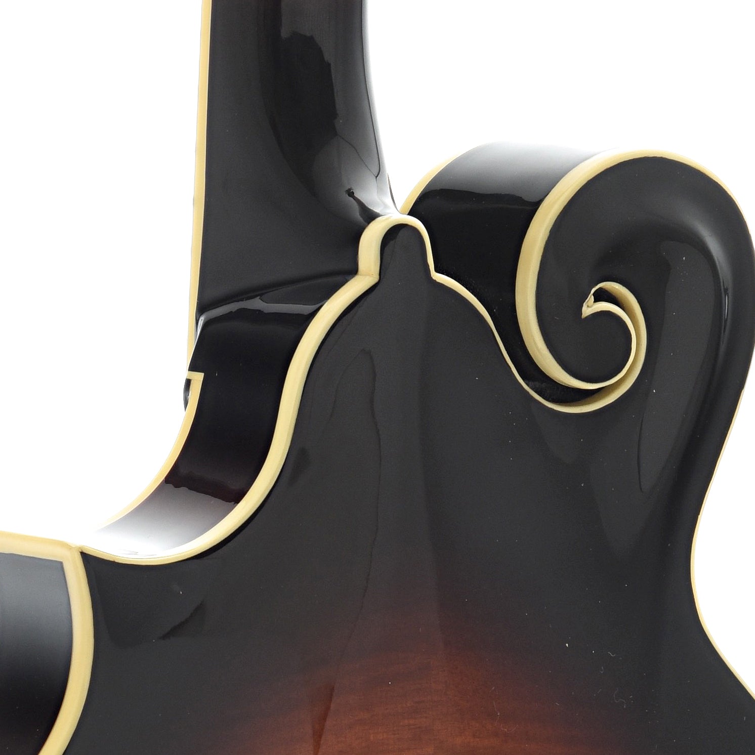 heel of The Loar LM-520-VS Mandolin