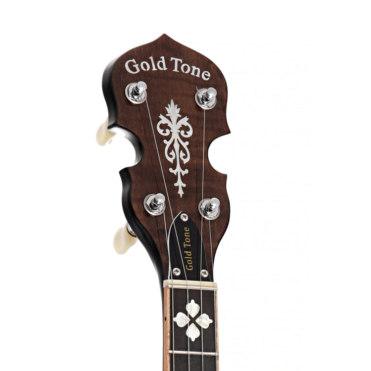 Headstock of Gold Tone OB-250LW Banjo
