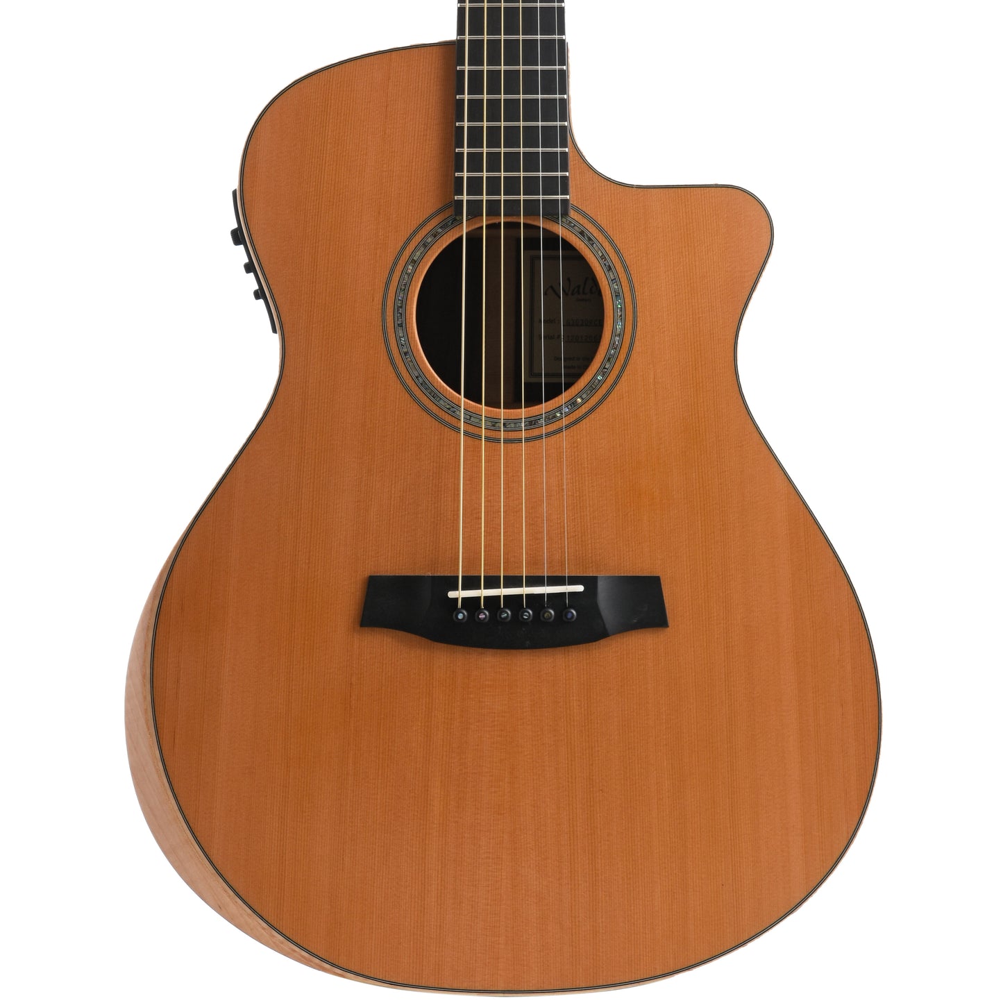 Image 1 of Walden Supranatura G3030RCE Acoustic-Electric Guitar & Case- SKU# G3030RCE : Product Type Flat-top Guitars : Elderly Instruments