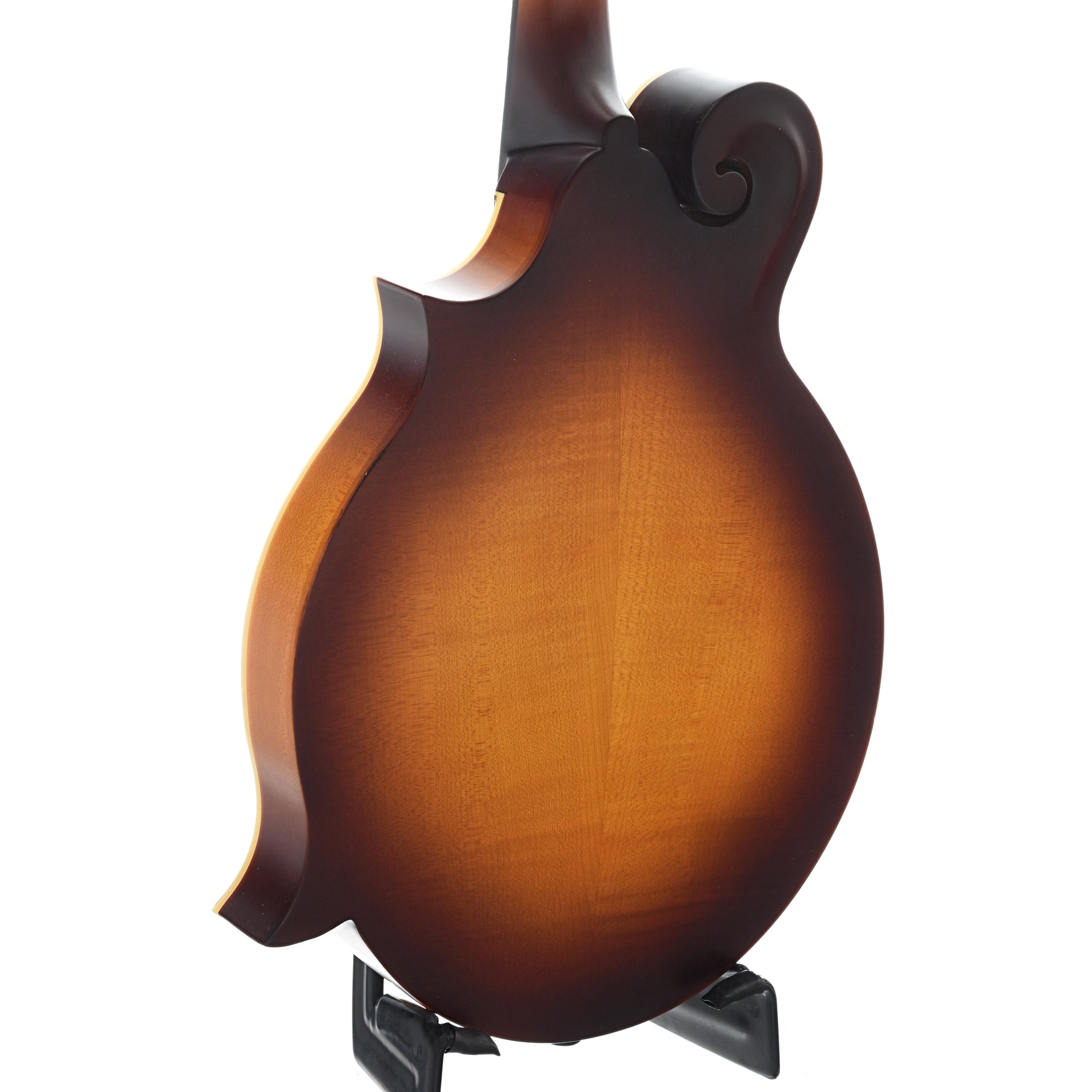 Back and Side of The Loar LM-590-MS Mandolin