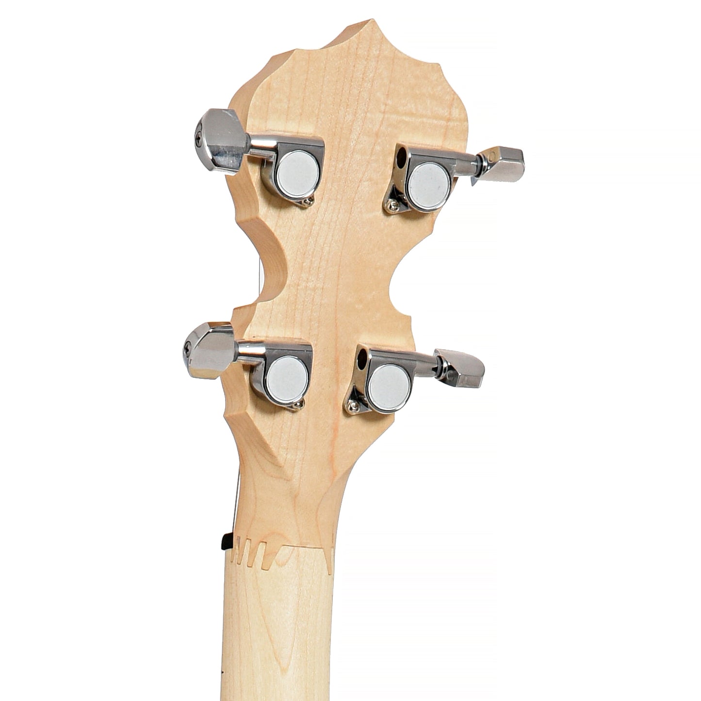 Image 9 of Deering Goodtime Lefthanded Resonator Banjo - SKU# LGOOD2 : Product Type Resonator Back Banjos : Elderly Instruments