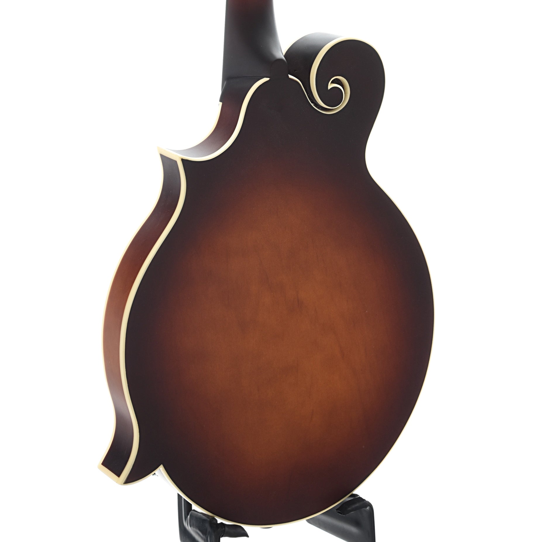 Back and Side of The Loar "Honey Creek" F-Style Mandolin